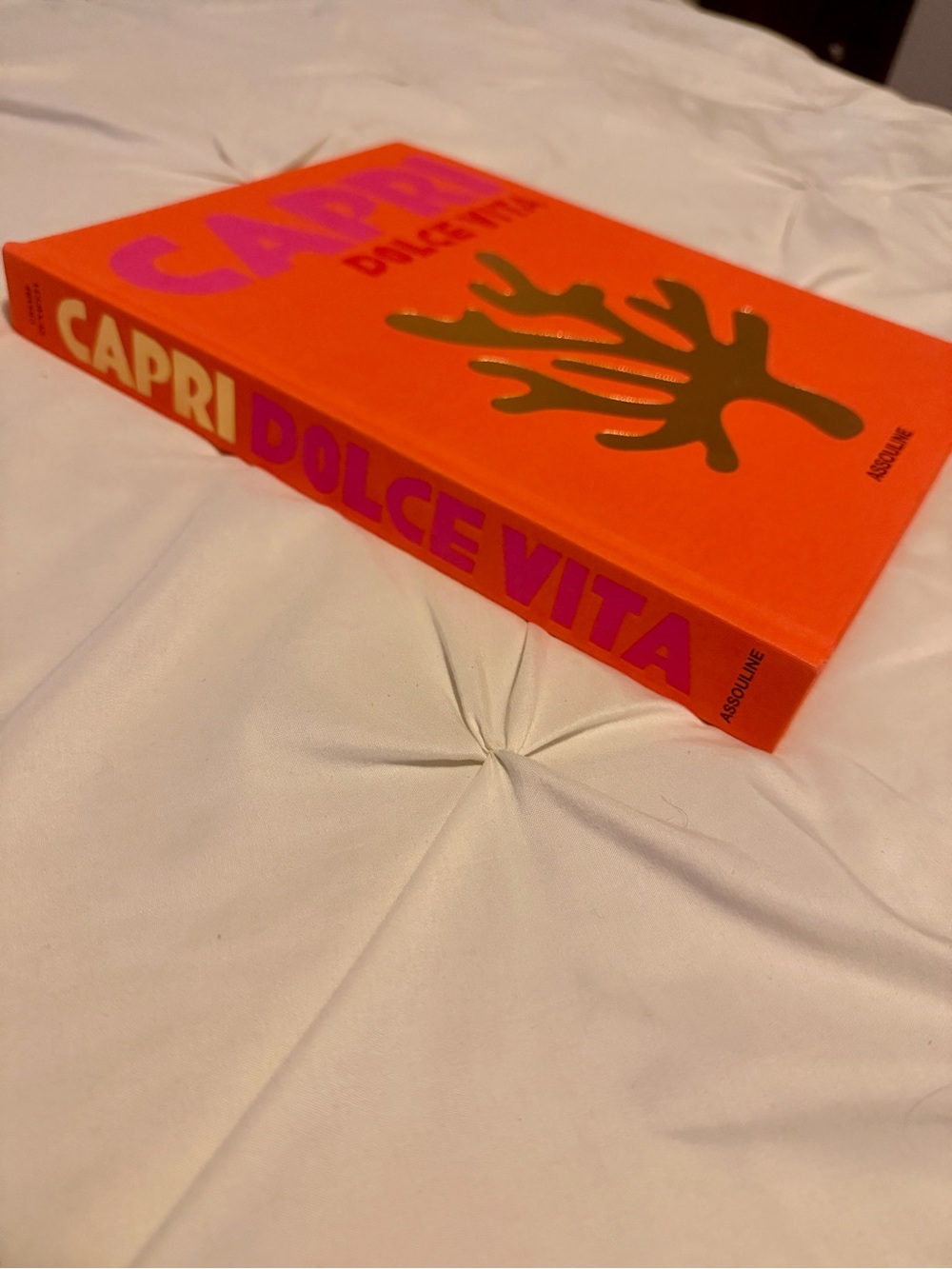 Capri Dolce Vita Hardcover - Orange & Pink with Gold Motif - Picture 2 of 4